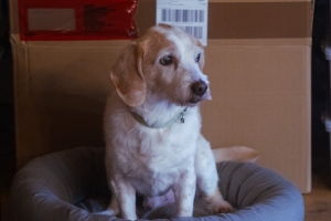 Szenario2026-023-scaled